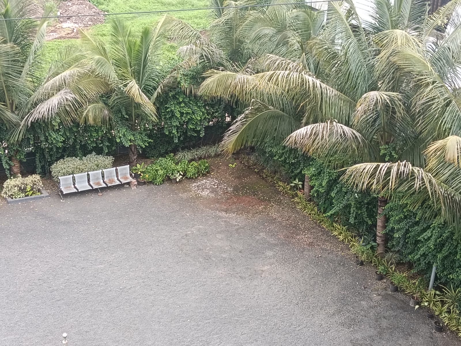 Green & Safe Environment