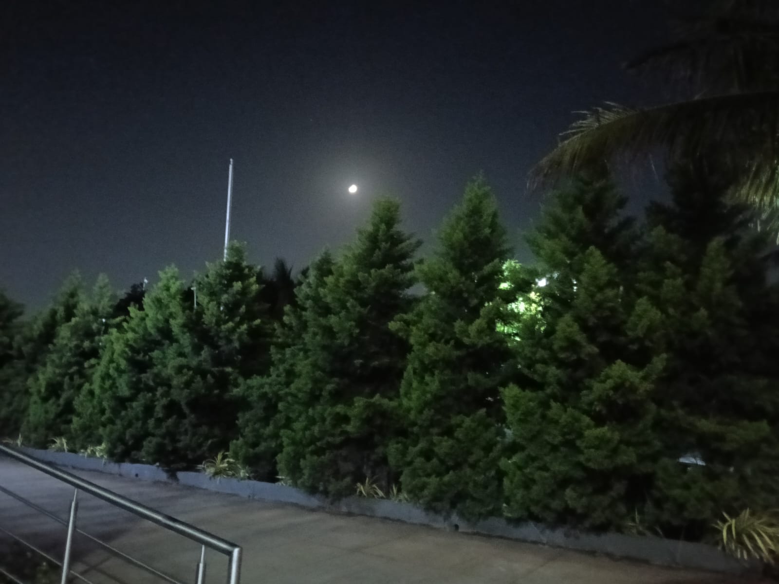 Green Campus